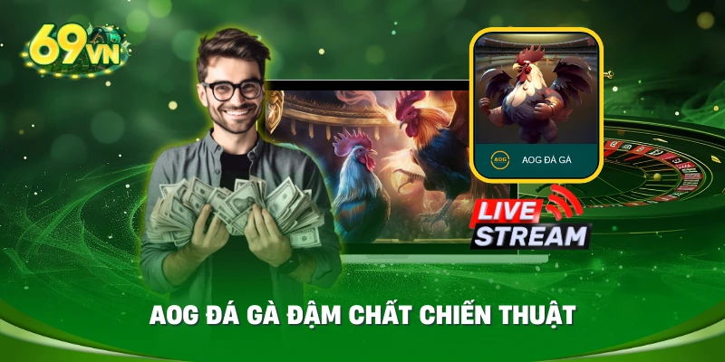 AOG đá gà đậm chất chiến thuật